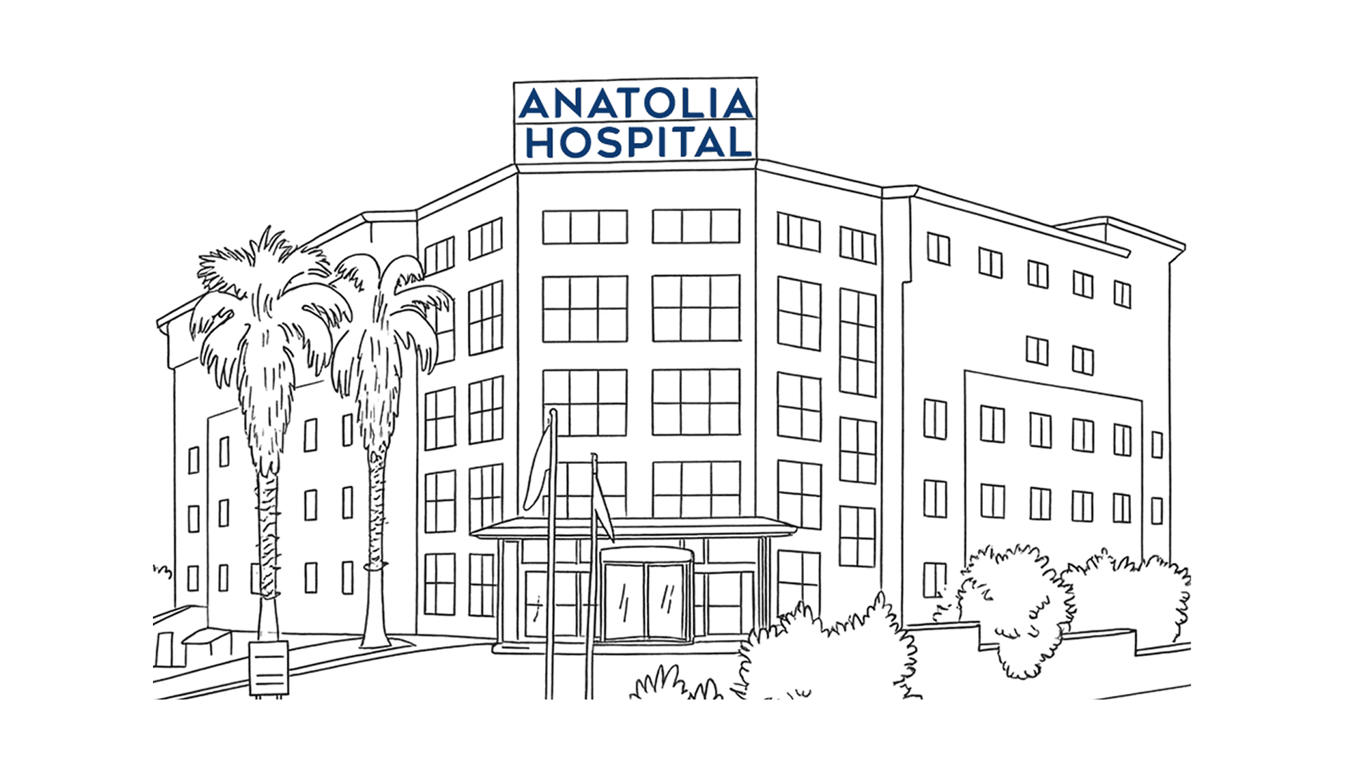 Anatolia Hospital