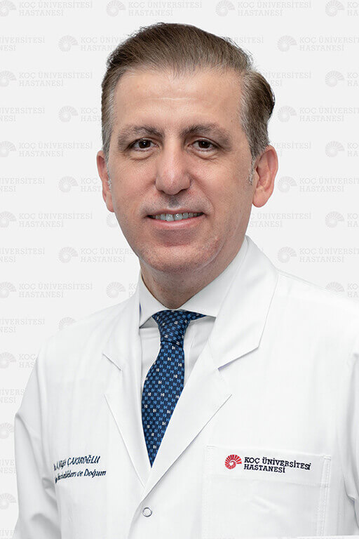 Portrait of Prof. Dr. A. Yiğit Çakıroğlu