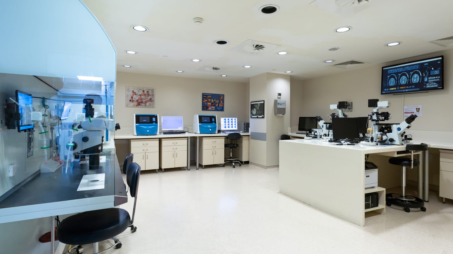 Sperm alınması ve embriyo oluşturma süreci