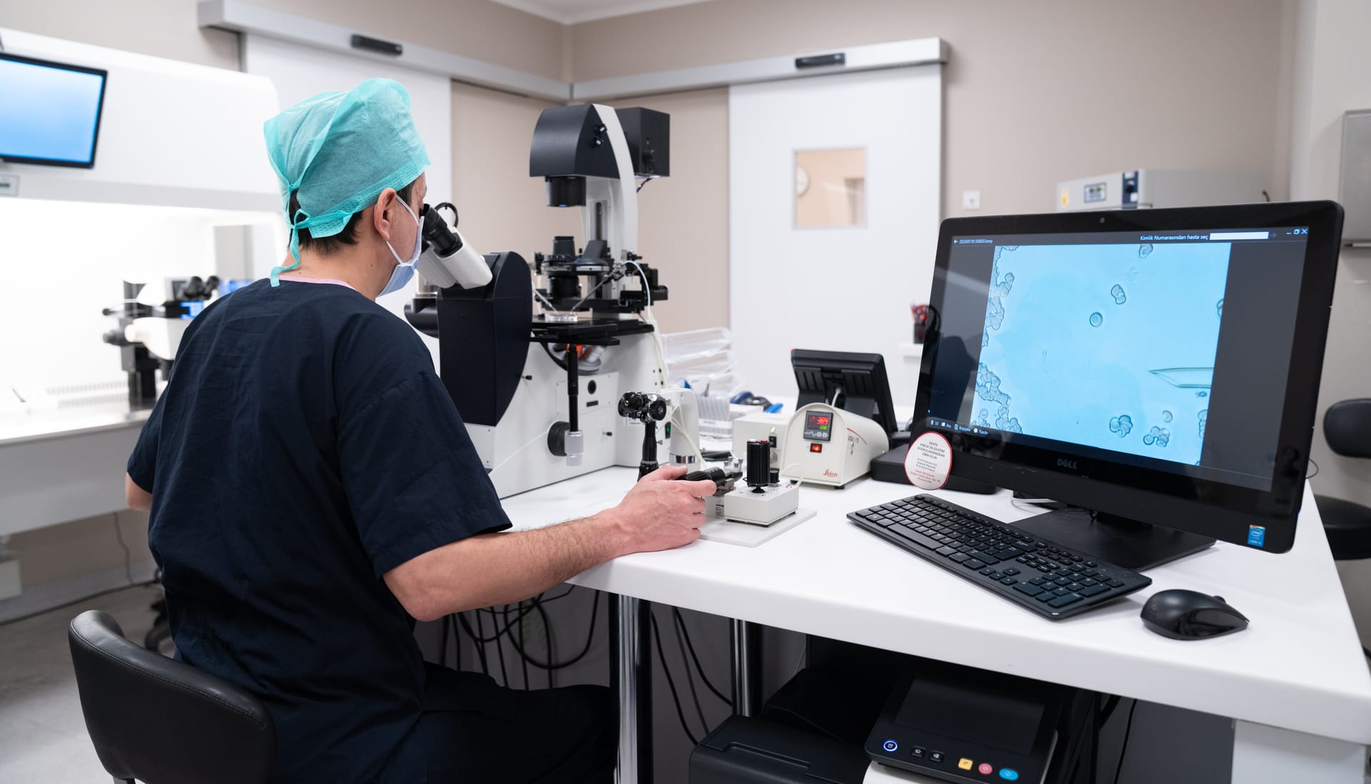 Embriyo gelişim takibi ve izleme