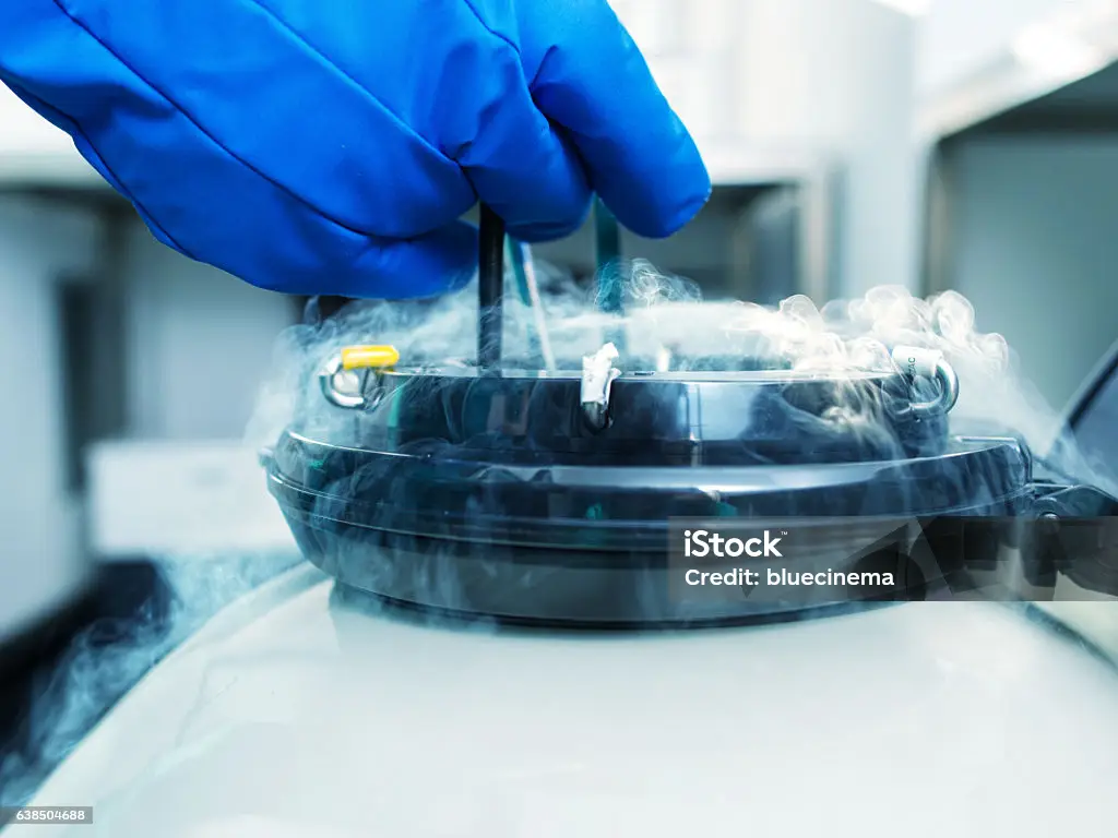 Egg Freezing: Preserving Your Fertility Options