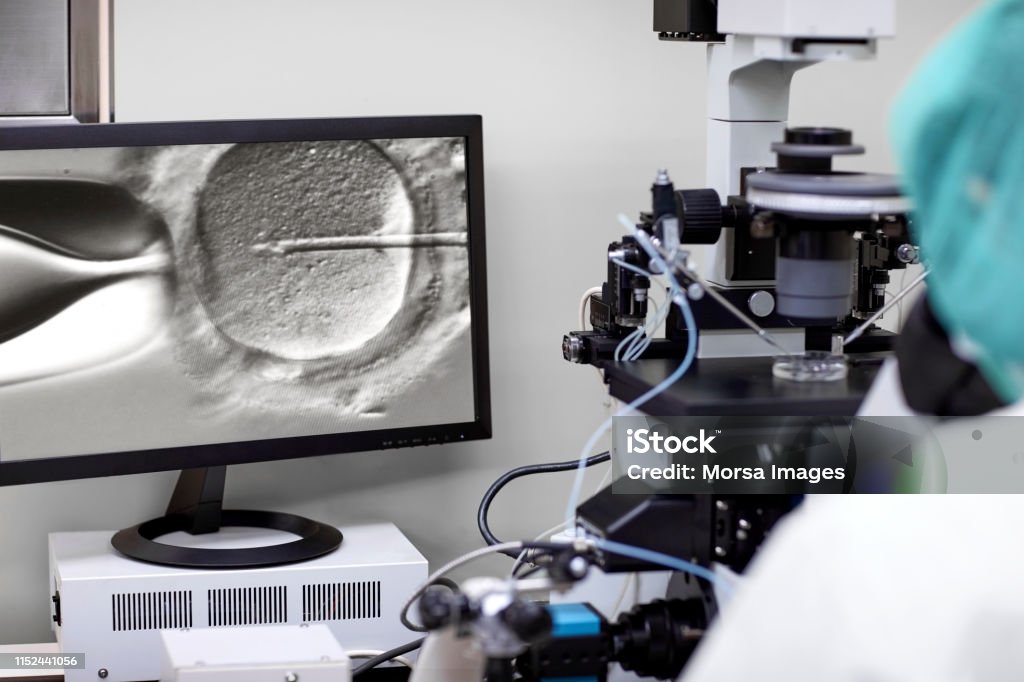 ICSI Treatment: A Comprehensive Guide